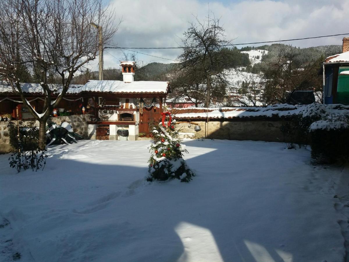 Guest House Bolyarka 코프리브시티차 외부 사진